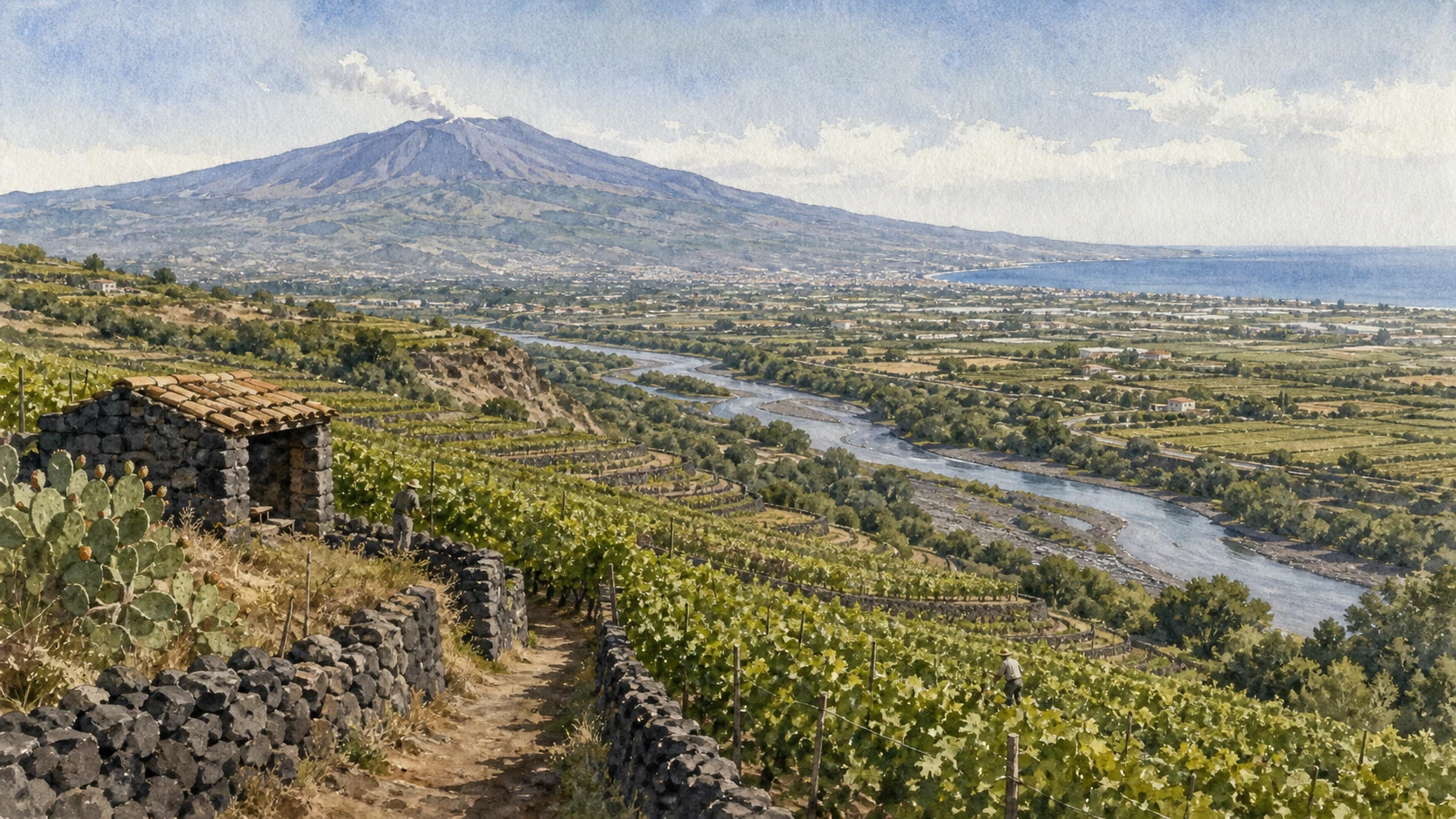 Documentary watercolour of terraced Alcantara vineyards with black lava walls, the river plain, Mount Etna and the distant Ionian coast