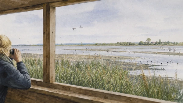 Original documentary watercolour of distant mixed Po Delta birdlife across mudflat, reeds and lagoon viewed from a hide