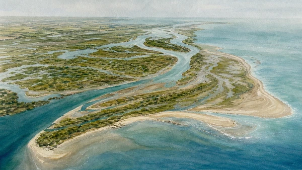 Original documentary watercolour aerial comparison of active Po branches, fossil channels, sediment bars and Adriatic coast