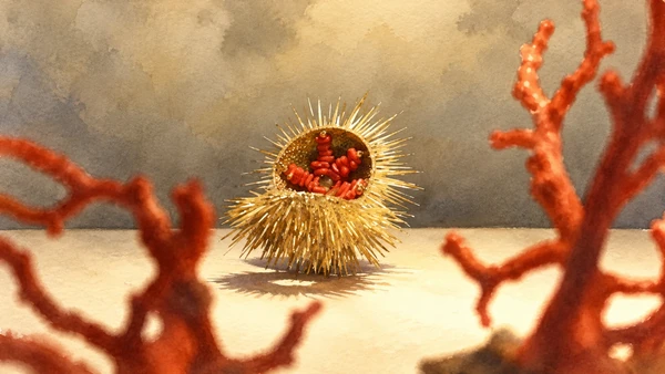 Watercolour: Alghero Coral Museum, documented decorative display detail with red coral and a spiny golden form