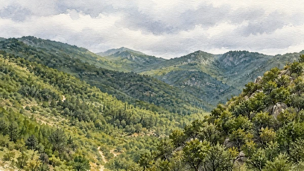 Watercolour: Pixinamanna forest, wooded valley and Mediterranean ridges inland from Pula